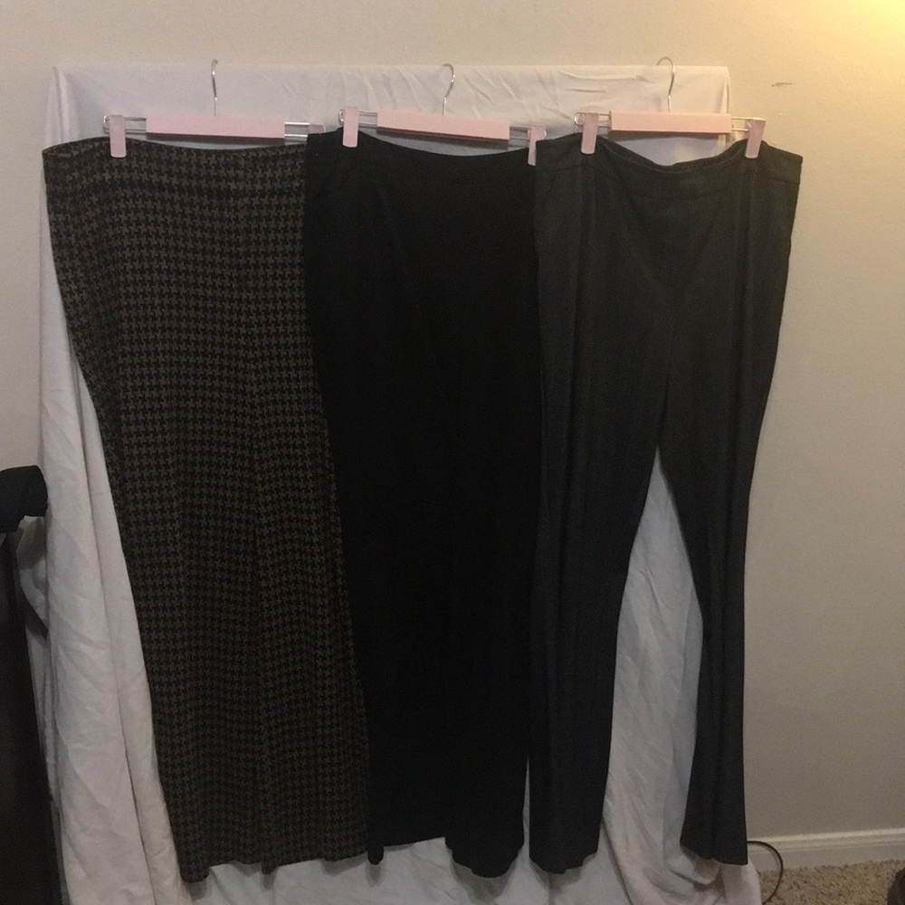 3 Pair of New York & Company Pants
